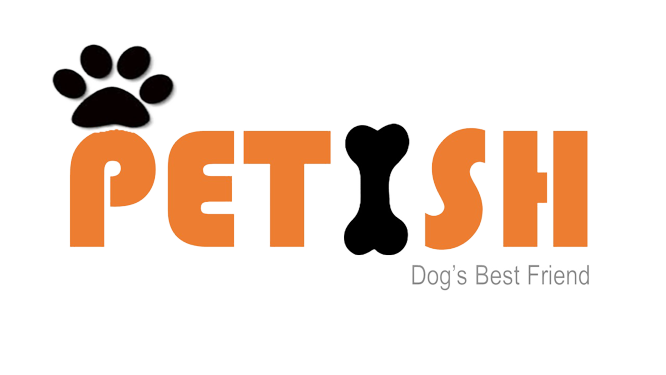 Top Pet grooming services in Bangalore at your call