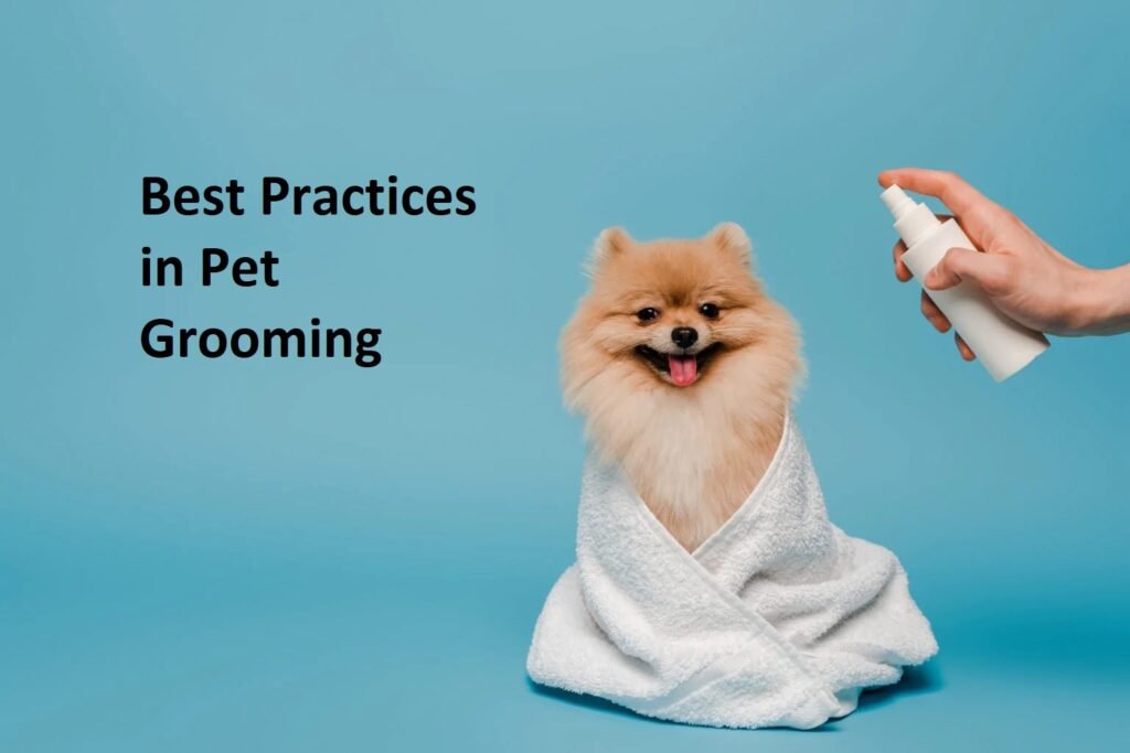 Pet grooming services in Bangalore