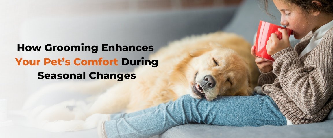 How Grooming Enhances Your Pet’s Comfort During Seasonal Changes