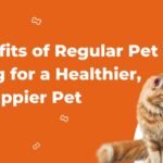 Benefits of Regular Pet Grooming