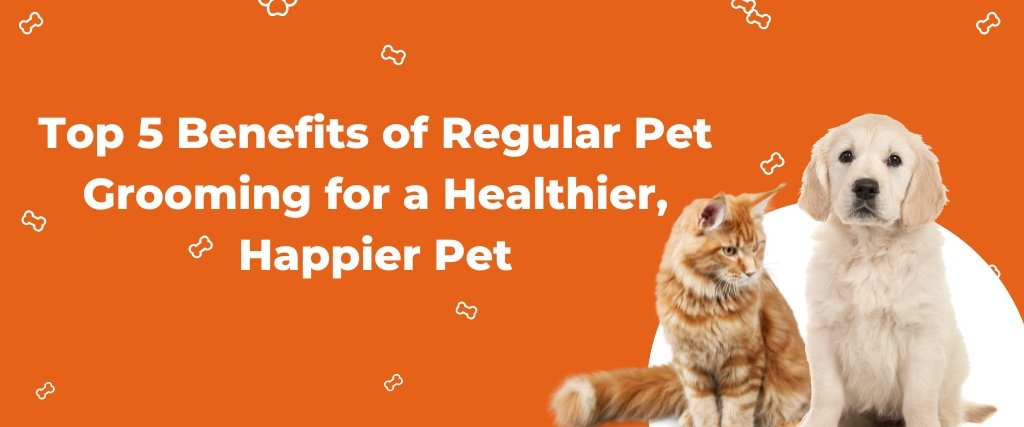 Top 5 Benefits of Regular Pet Grooming for a Healthier, Happier Pet