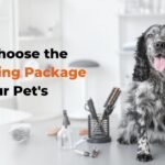 Choose the Best Grooming Package for Your Pet's