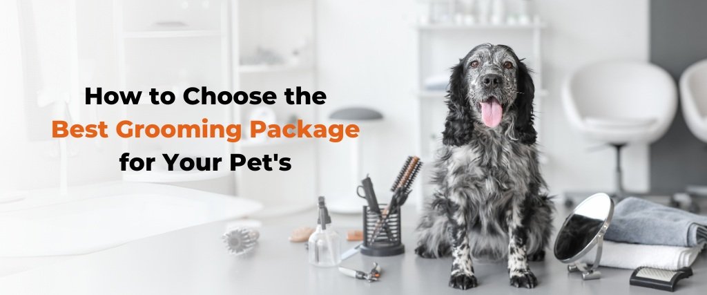 How to Choose the Best Grooming Package for Your Pet’s Unique Needs