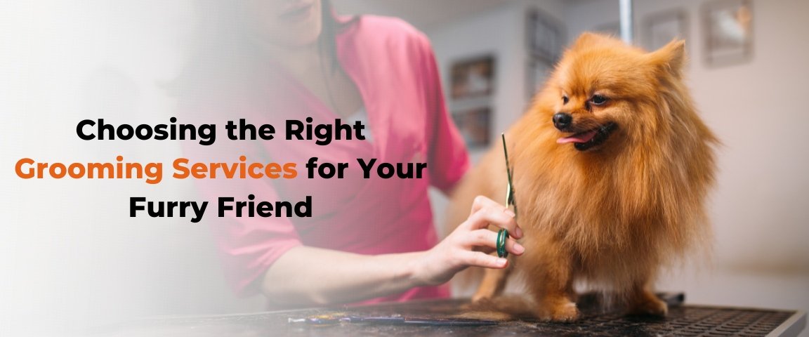 Choosing the Right Grooming Services for Your Furry Friend