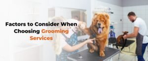 grooming in Bangalore