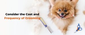 Best Grooming Services dogs in Bangalore 
